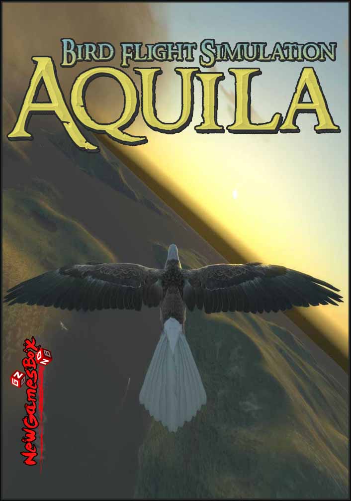 Aquila Bird Flight Simulator Free Download