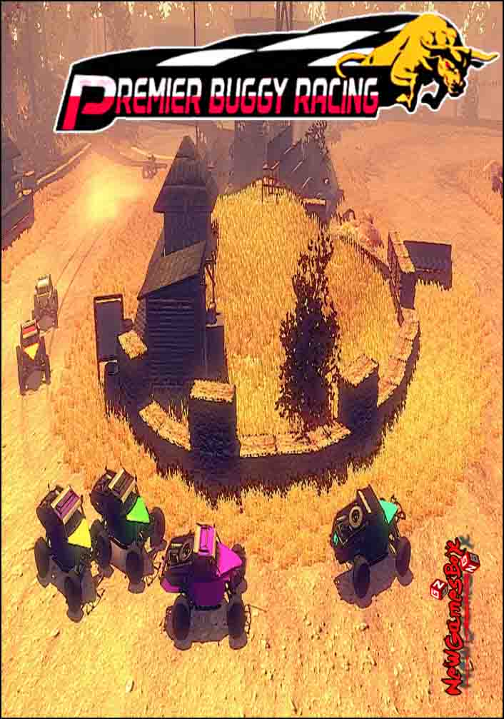Premier Buggy Racing Tour Free Download