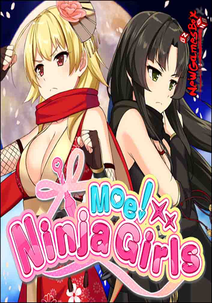 Moe Ninja Girls Free Download Full PC Game Setup